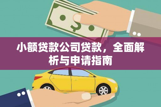 镜湖小额贷款公司贷款，全面解析与申请指南