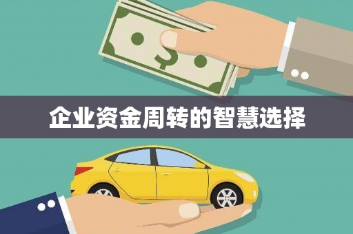 镜湖企业资金周转的智慧选择