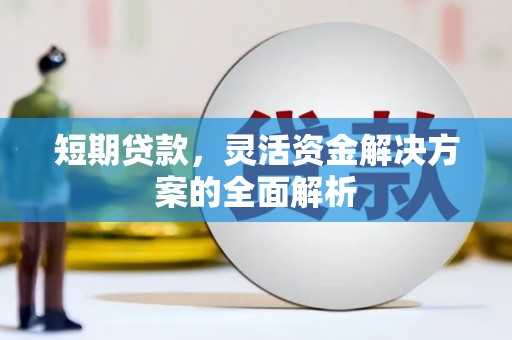 镜湖短期贷款，灵活资金解决方案的全面解析