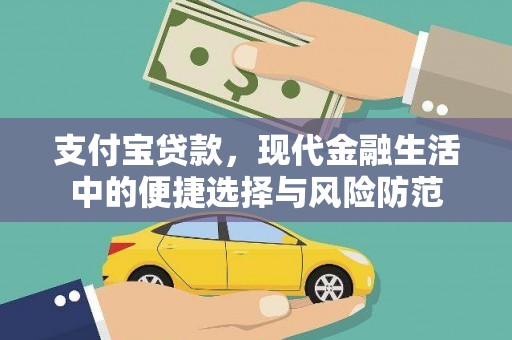 镜湖支付宝贷款，现代金融生活中的便捷选择与风险防范