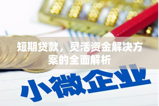 镜湖短期贷款，灵活资金解决方案的全面解析