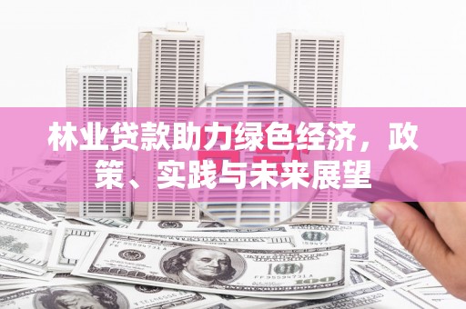 镜湖林业贷款助力绿色经济，政策、实践与未来展望