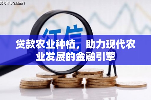 镜湖贷款农业种植，助力现代农业发展的金融引擎
