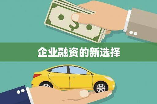 镜湖企业融资的新选择