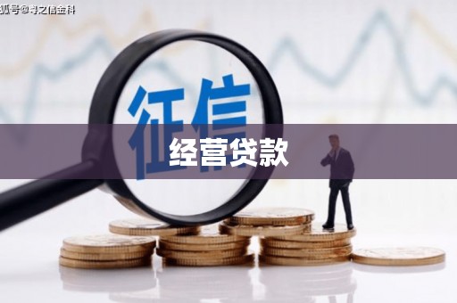镜湖经营贷款