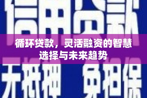 镜湖循环贷款，灵活融资的智慧选择与未来趋势