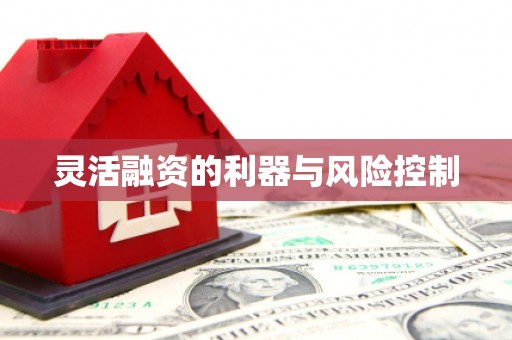 镜湖灵活融资的利器与风险控制