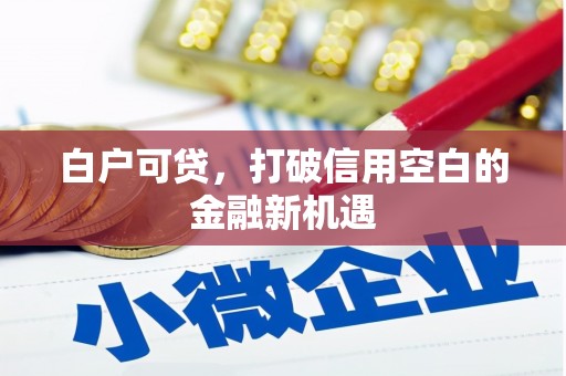 镜湖白户可贷，打破信用空白的金融新机遇