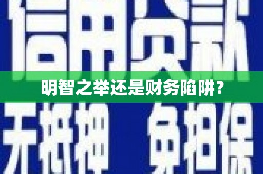 镜湖明智之举还是财务陷阱？