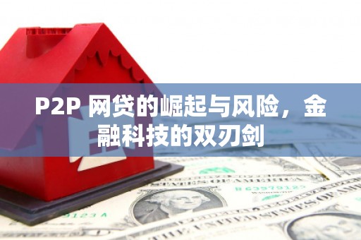 镜湖P2P 网贷的崛起与风险，金融科技的双刃剑