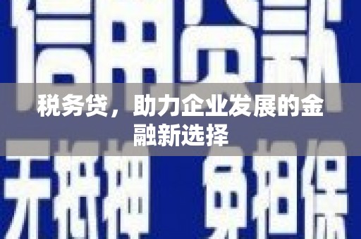 镜湖税务贷，助力企业发展的金融新选择