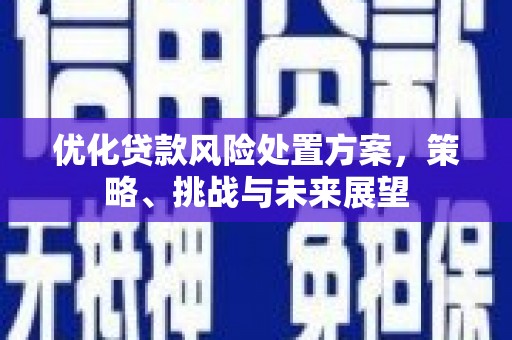 镜湖优化贷款风险处置方案，策略、挑战与未来展望