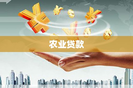 镜湖农业贷款