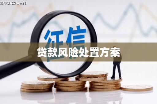 镜湖贷款风险处置方案
