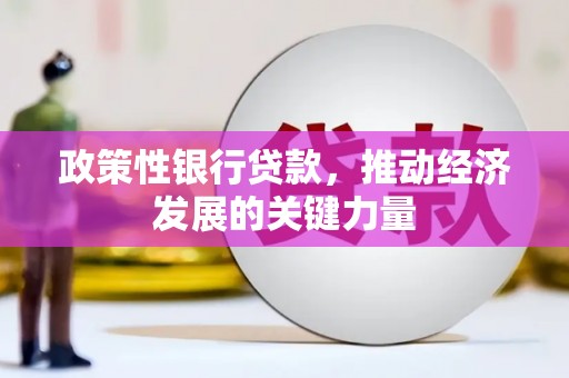 镜湖政策性银行贷款，推动经济发展的关键力量
