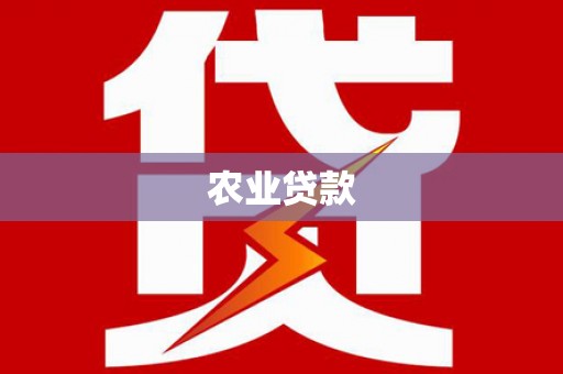 镜湖农业贷款