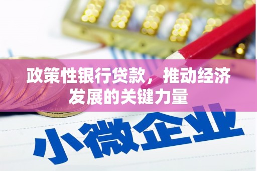 镜湖政策性银行贷款，推动经济发展的关键力量