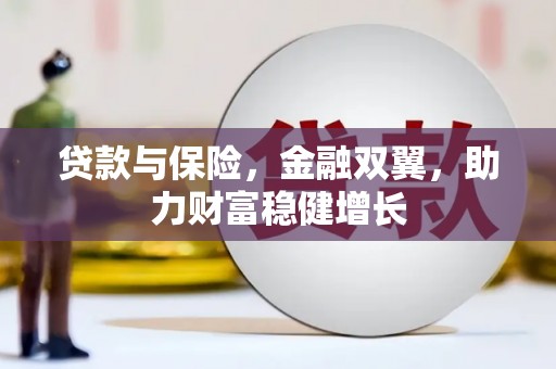 镜湖贷款与保险，金融双翼，助力财富稳健增长