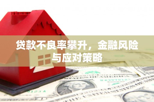 镜湖贷款不良率攀升，金融风险与应对策略