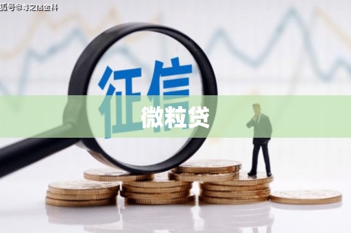 镜湖微粒贷