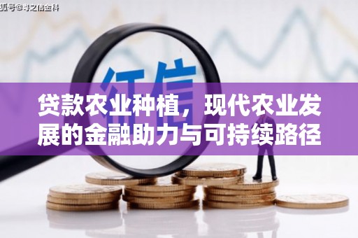 镜湖贷款农业种植，现代农业发展的金融助力与可持续路径