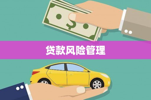 镜湖贷款风险管理
