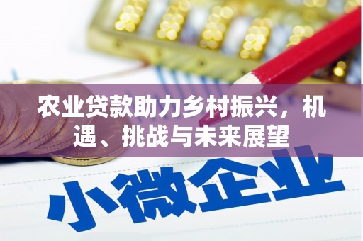 镜湖农业贷款助力乡村振兴，机遇、挑战与未来展望