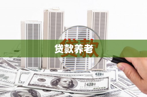 镜湖贷款养老