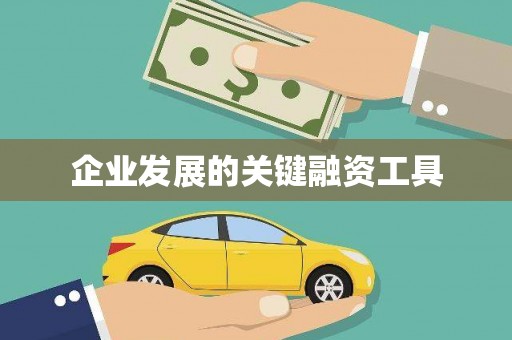 镜湖企业发展的关键融资工具