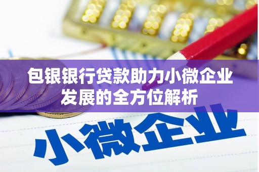 镜湖包银银行贷款助力小微企业发展的全方位解析