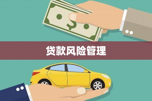 镜湖贷款风险管理