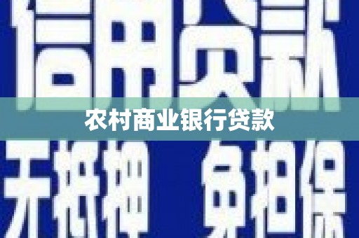 镜湖农村商业银行贷款