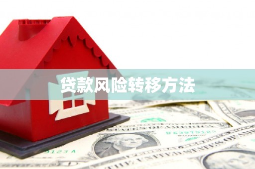 镜湖贷款风险转移方法