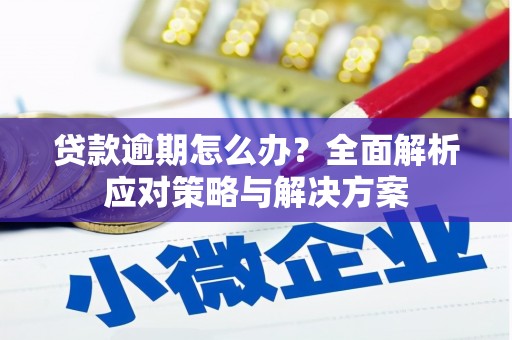 镜湖贷款逾期怎么办？全面解析应对策略与解决方案