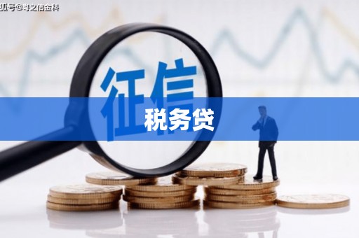 镜湖税务贷