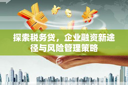 镜湖探索税务贷，企业融资新途径与风险管理策略