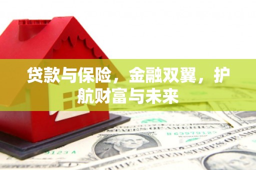 镜湖贷款与保险，金融双翼，护航财富与未来