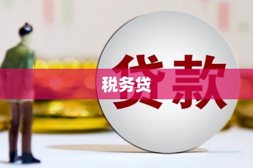 镜湖税务贷