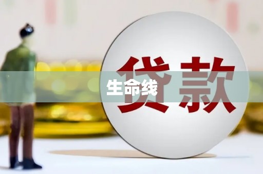 镜湖生命线