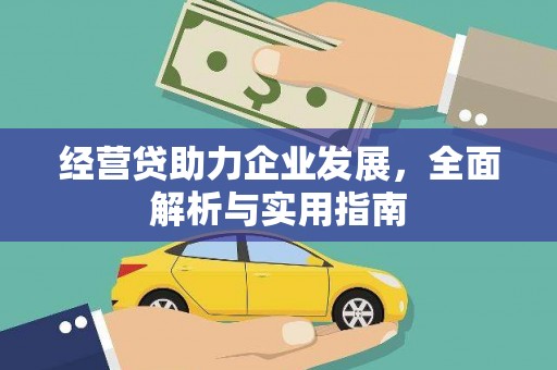 镜湖经营贷助力企业发展，全面解析与实用指南