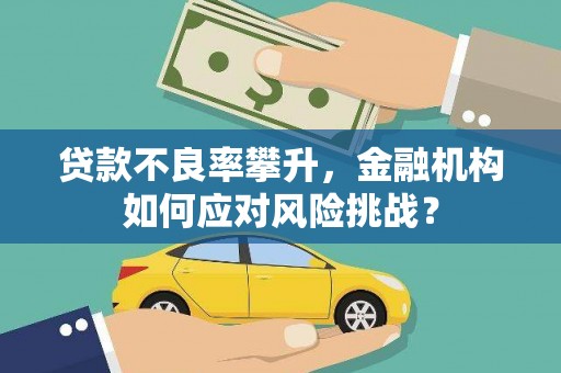 镜湖贷款不良率攀升，金融机构如何应对风险挑战？