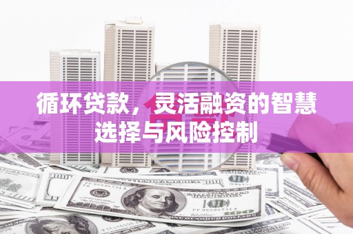 镜湖循环贷款，灵活融资的智慧选择与风险控制