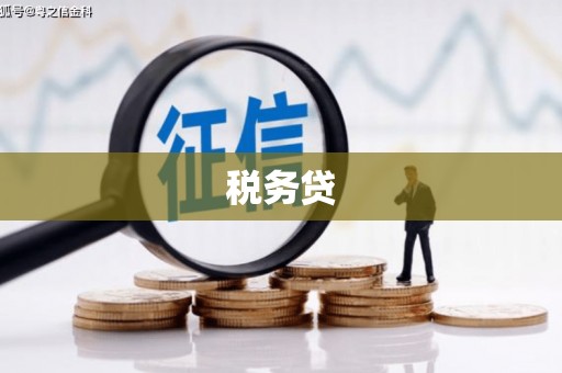 镜湖税务贷