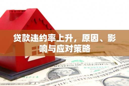 镜湖贷款违约率上升，原因、影响与应对策略