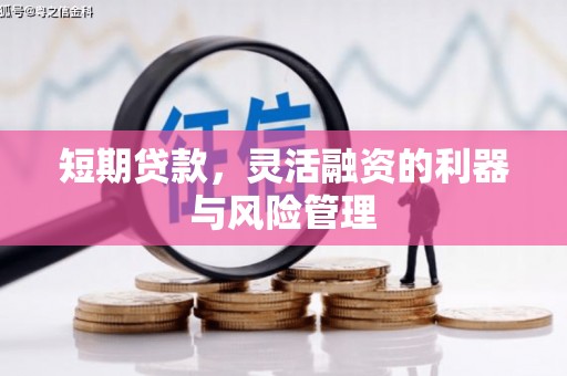 镜湖短期贷款，灵活融资的利器与风险管理