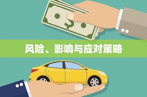 镜湖风险、影响与应对策略