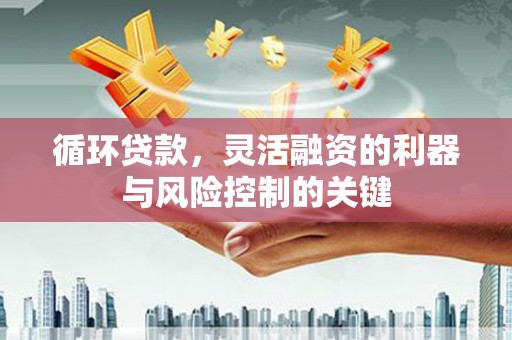 镜湖循环贷款，灵活融资的利器与风险控制的关键