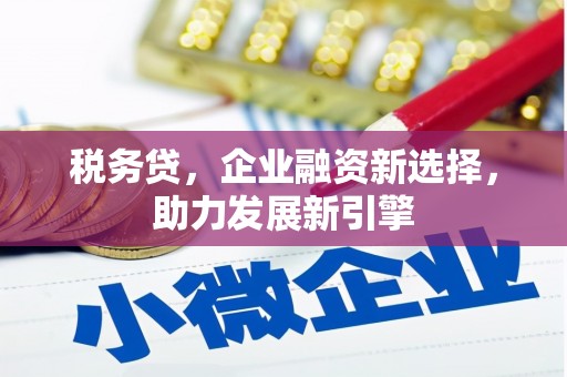 镜湖税务贷，企业融资新选择，助力发展新引擎