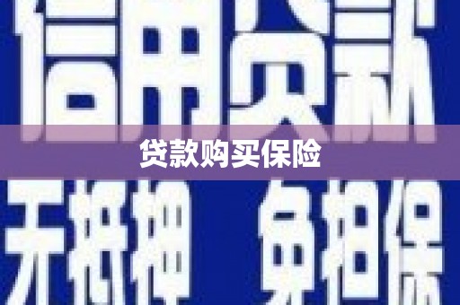 镜湖贷款购买保险