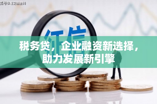 镜湖税务贷，企业融资新选择，助力发展新引擎